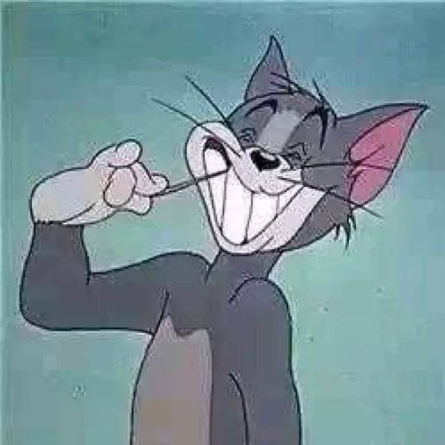 猫咪快下猫是的反应:揭秘宠物护理中的趣事